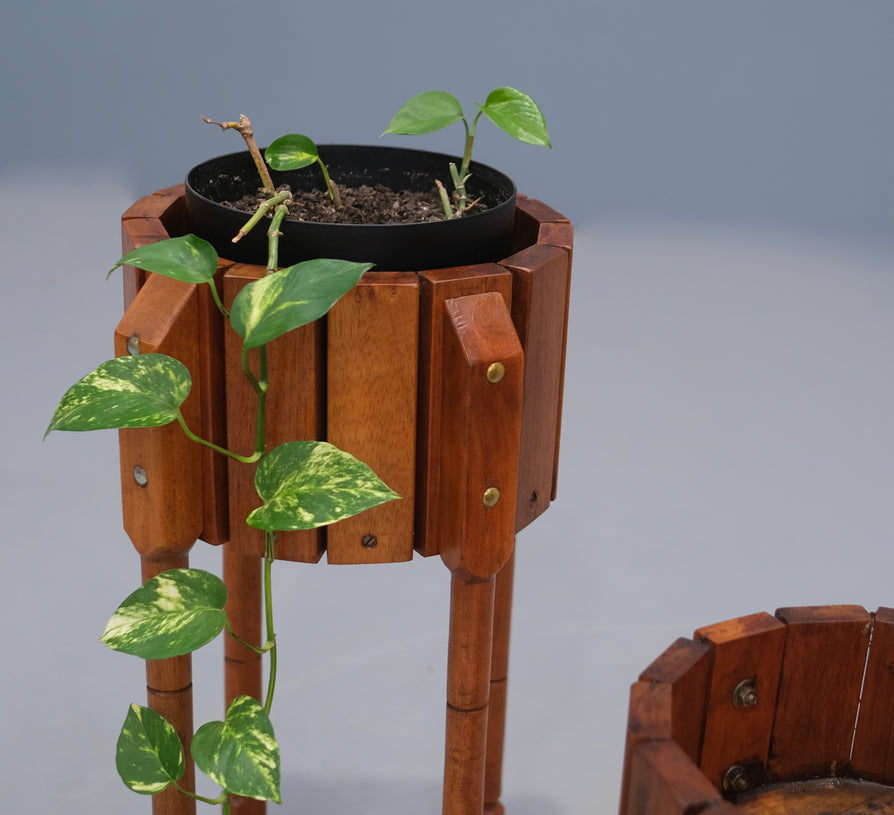 Set of Two Elevated Planters