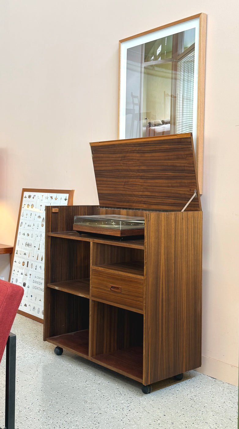 Mid-Century Record Cabinet