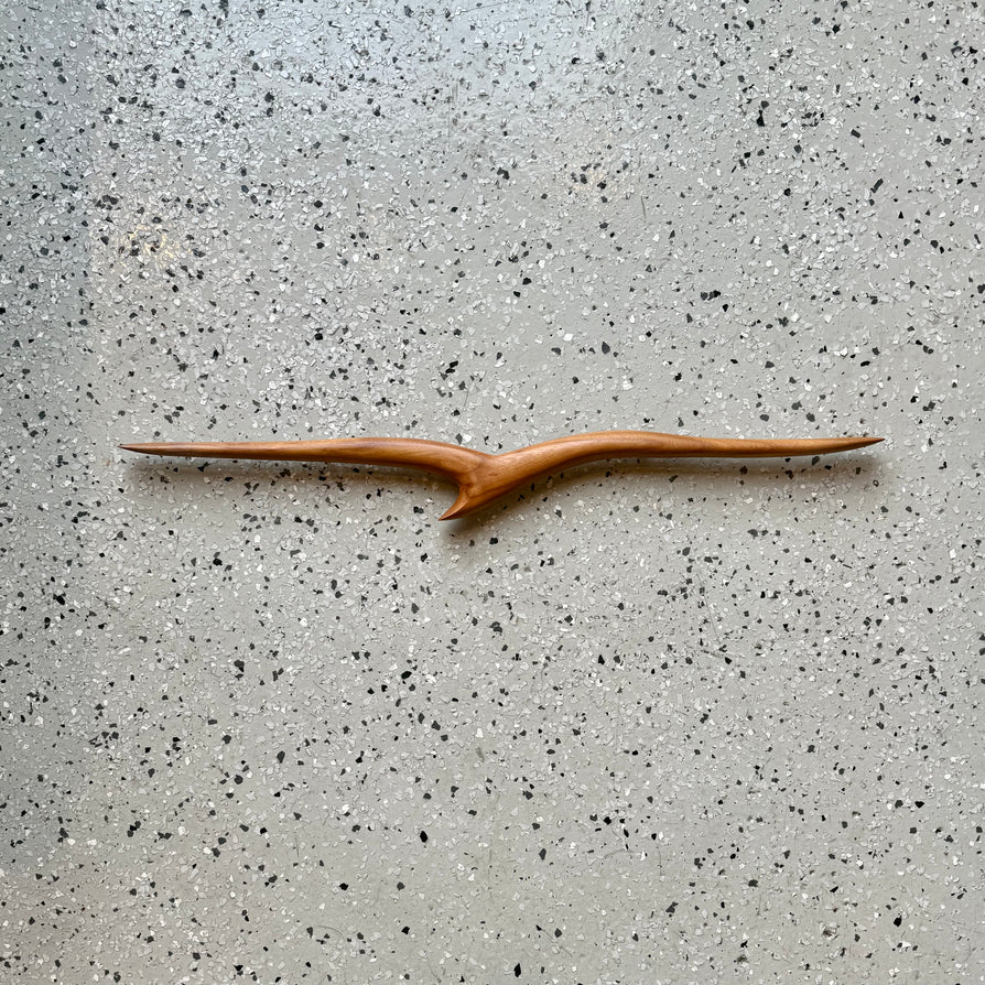 Timber Albatross in Tasmanian Blackwood