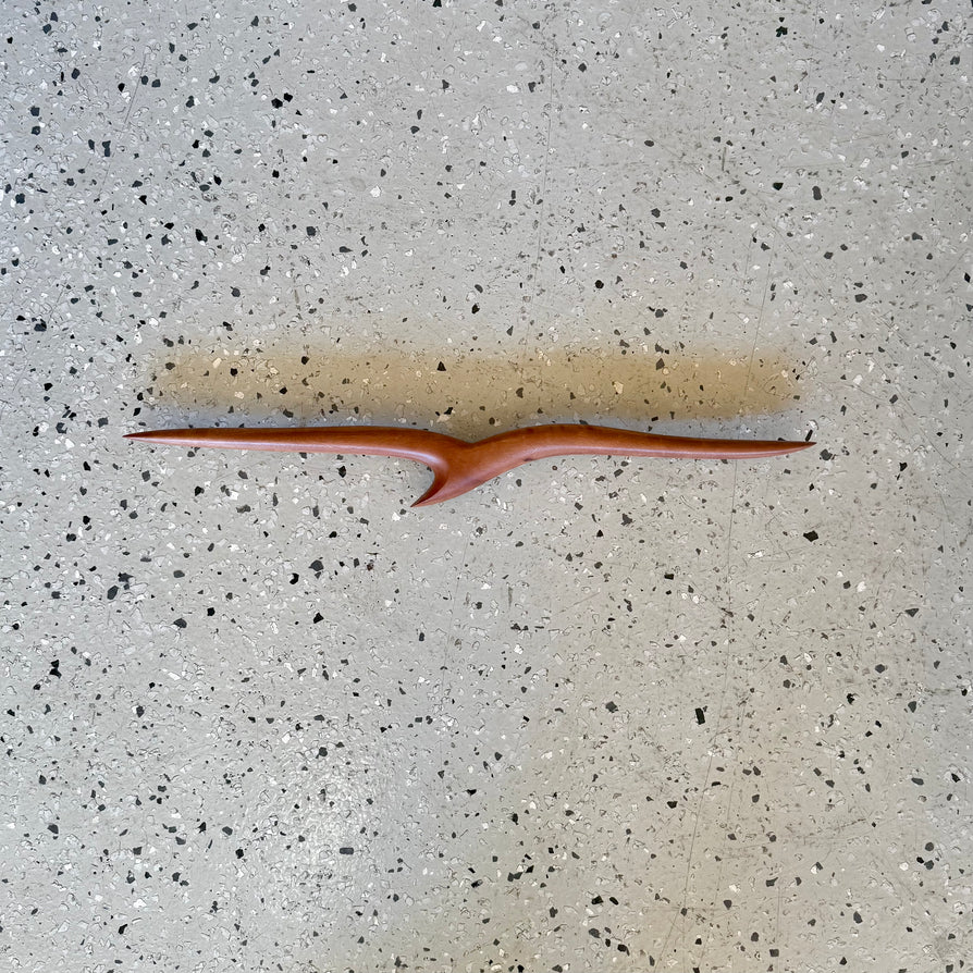 Small Timber Albatross in Red River Gum