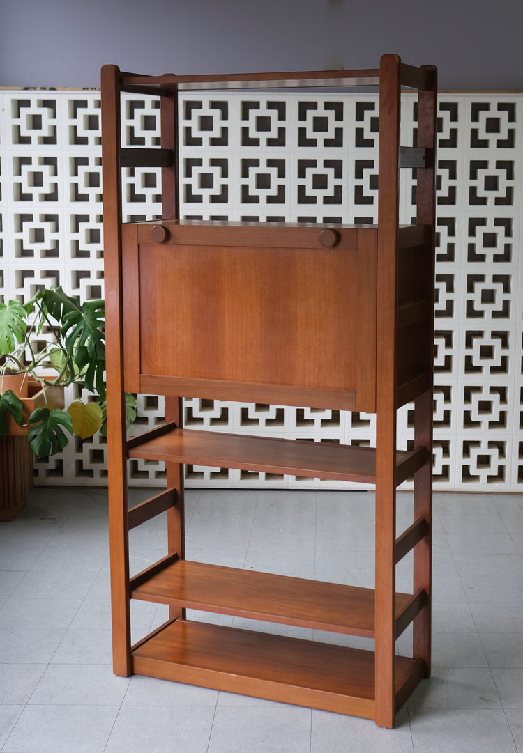 Mid-Century Wall Unit / Bookcase