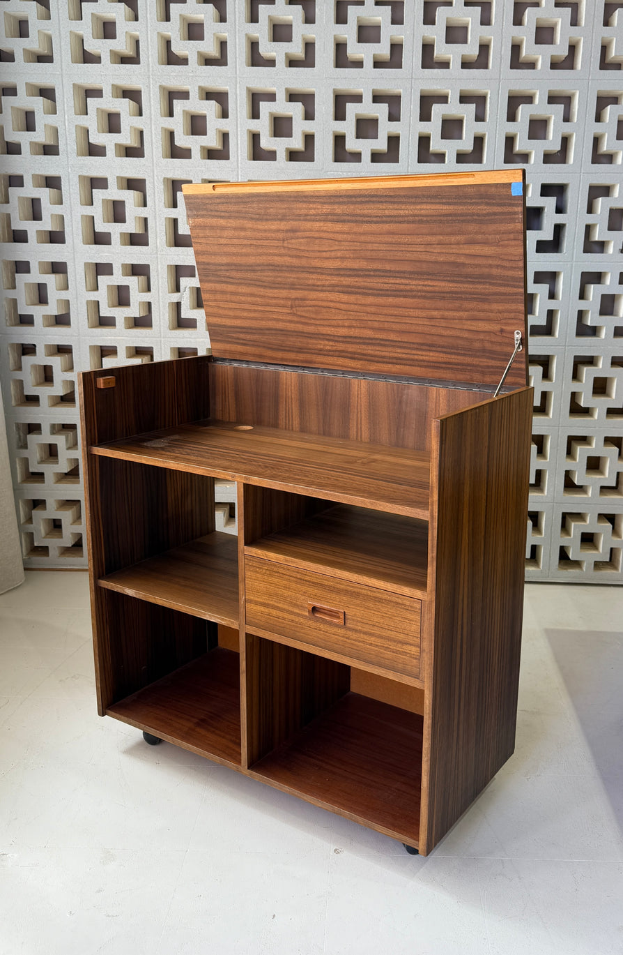 Mid-Century Record Cabinet
