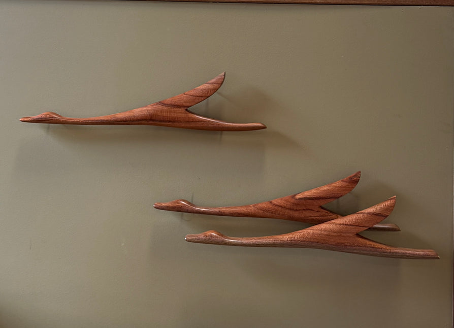 Set of Ducks in Banksia