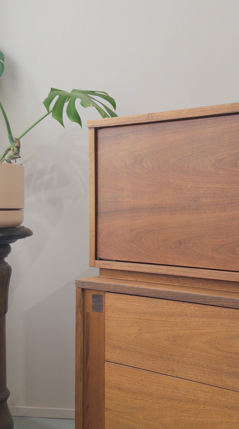 American Mid-Century Cabinet in Walnut & Rosewood