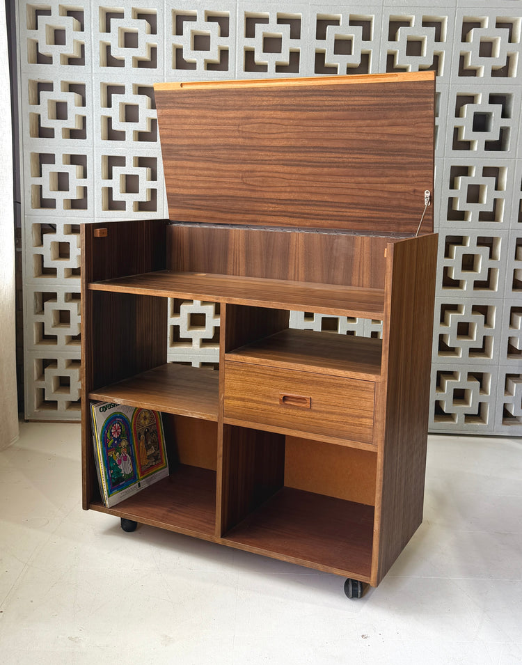 Mid-Century Record Cabinet
