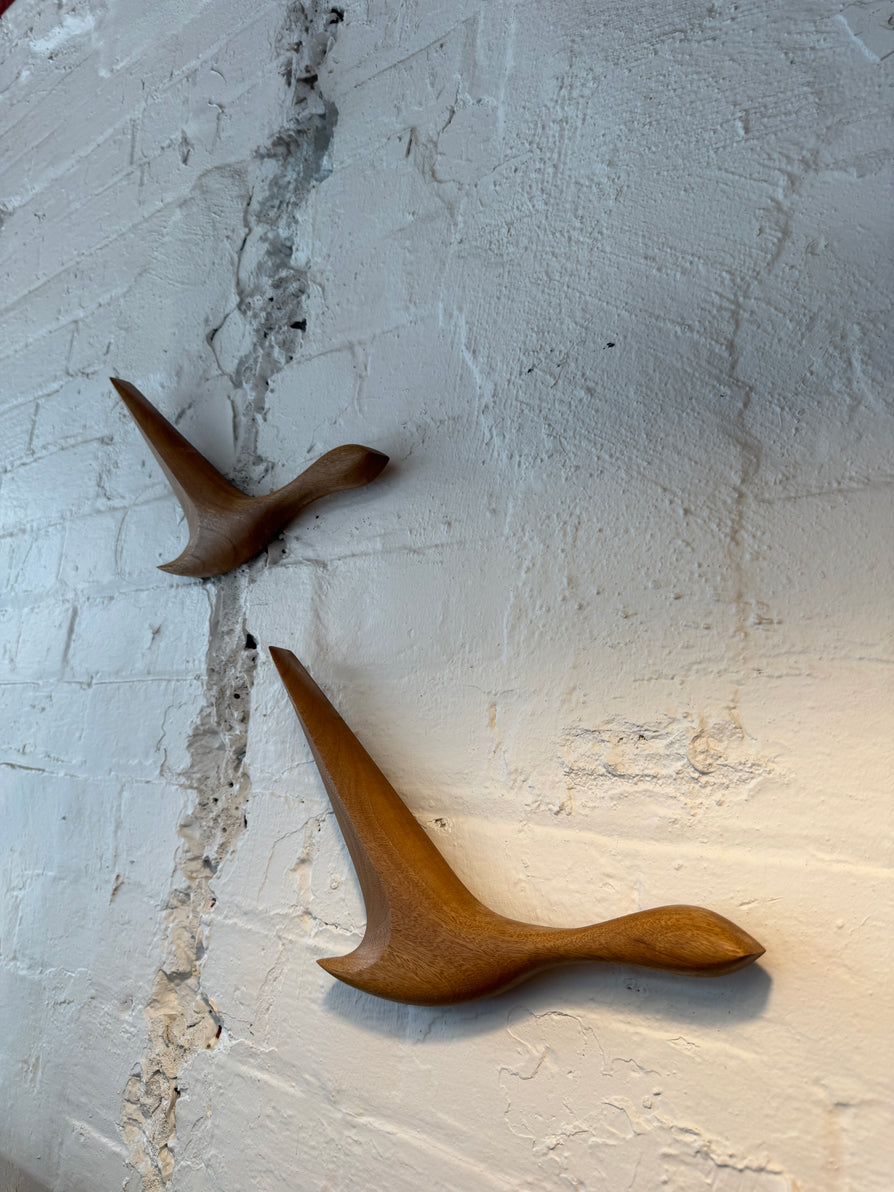 Pair of Wild Ducks in Blackbutt