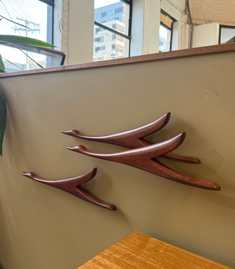 Flock of Three Ducks in Jarrah
