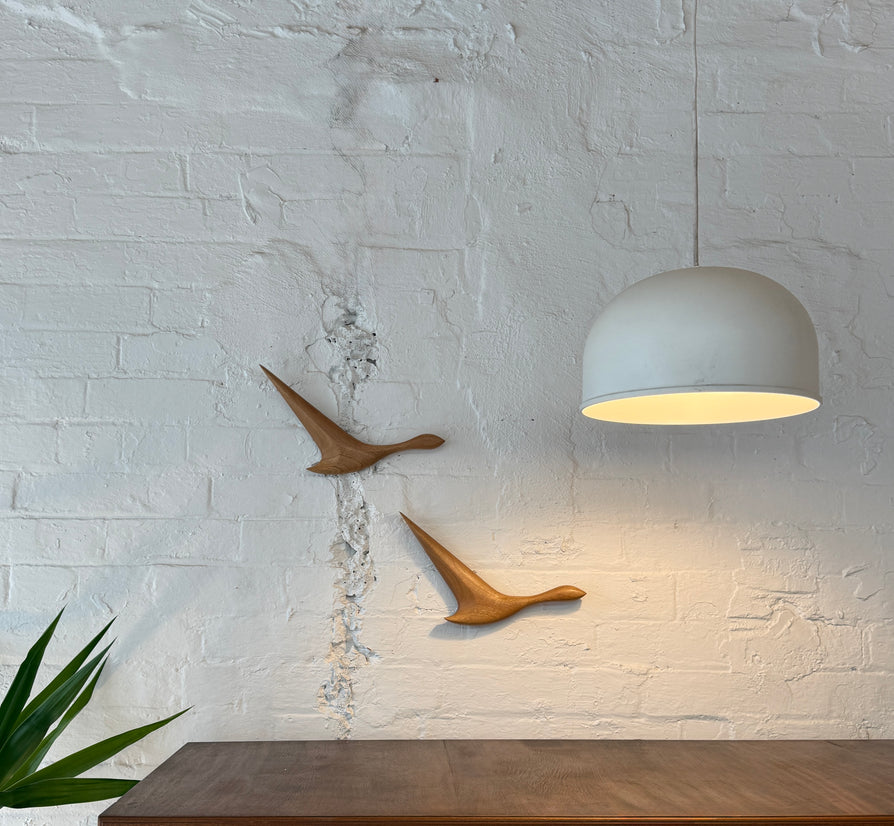 Pair of Wild Ducks in Blackbutt