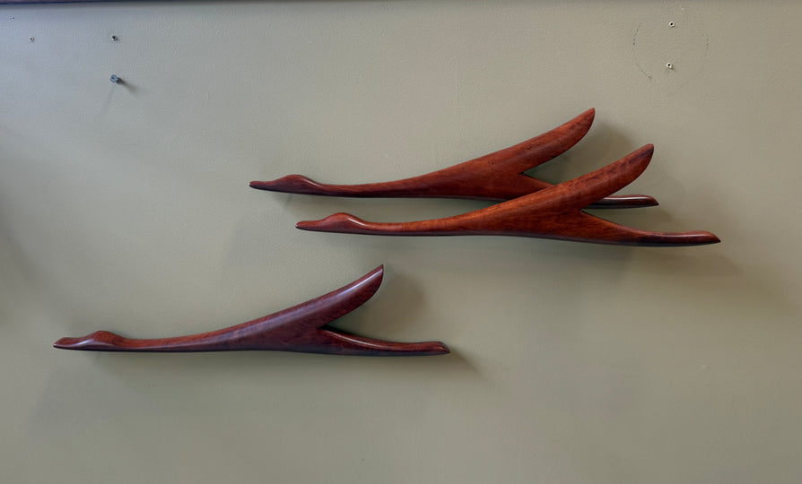 Flock of Three Ducks in Jarrah
