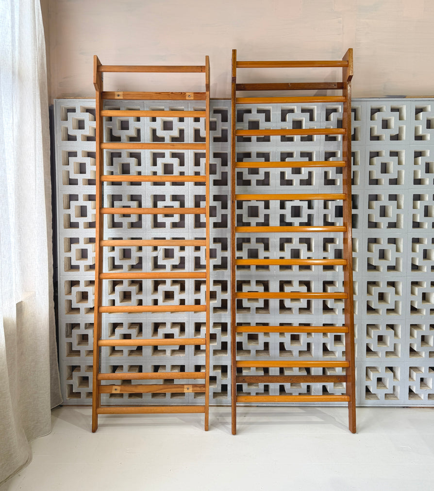 Vintage School Gymnasium Wall Bars