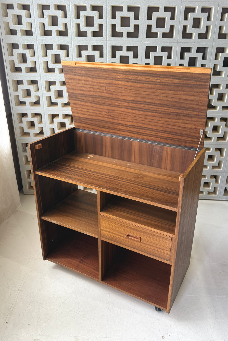 Mid-Century Record Cabinet